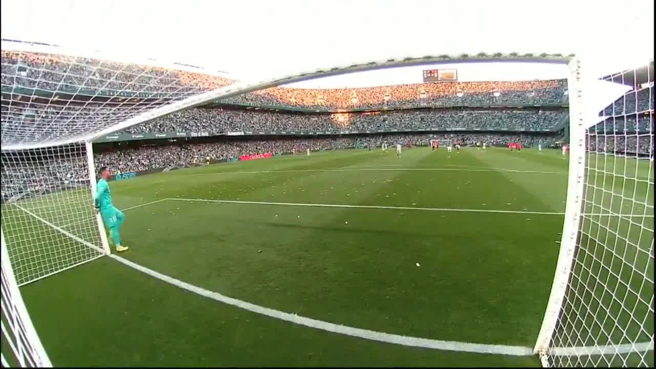zaslepka skrotu video