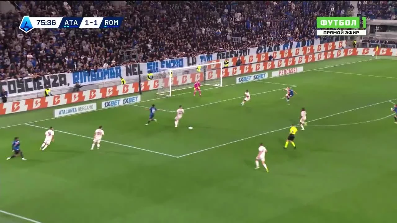 zaslepka skrotu video