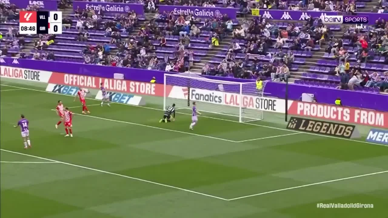 zaslepka skrotu video