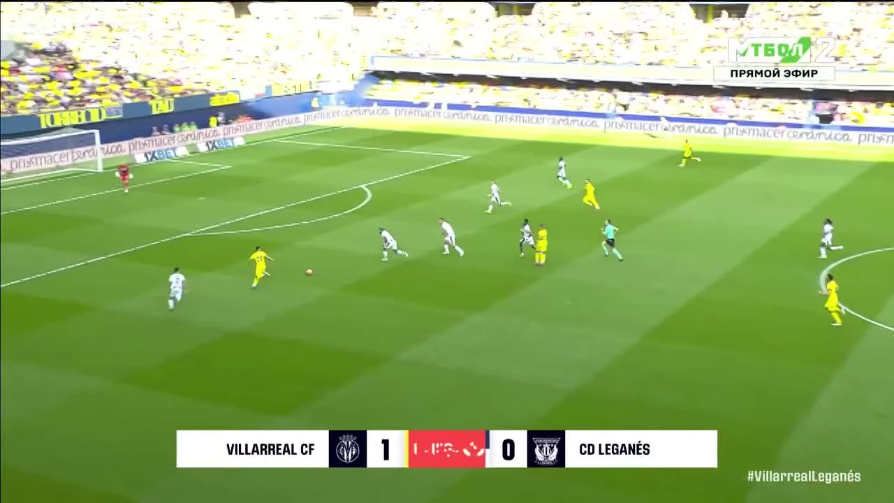 zaslepka skrotu video