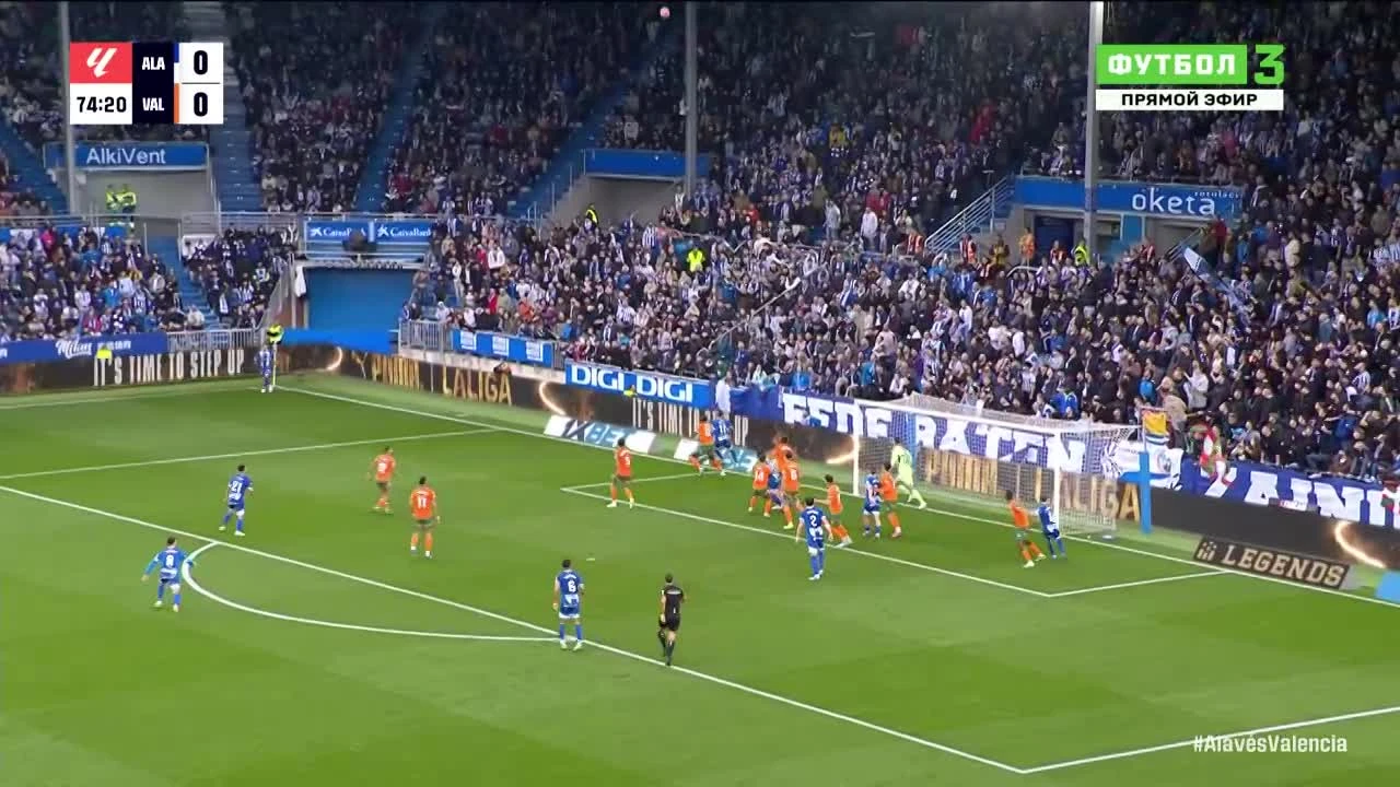 zaslepka skrotu video