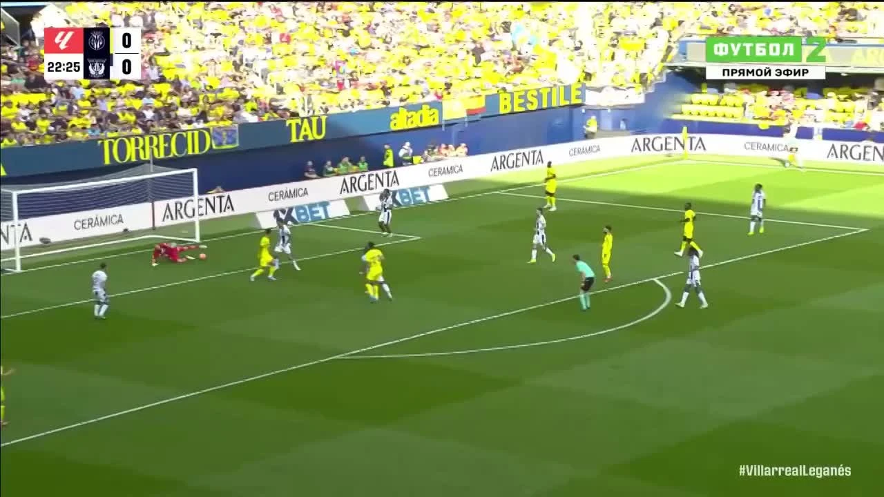 zaslepka skrotu video