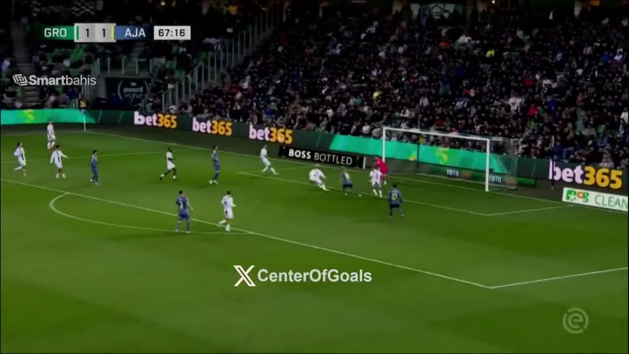 zaslepka skrotu video