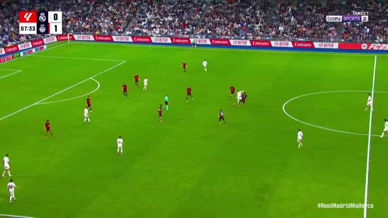 zaslepka skrotu video
