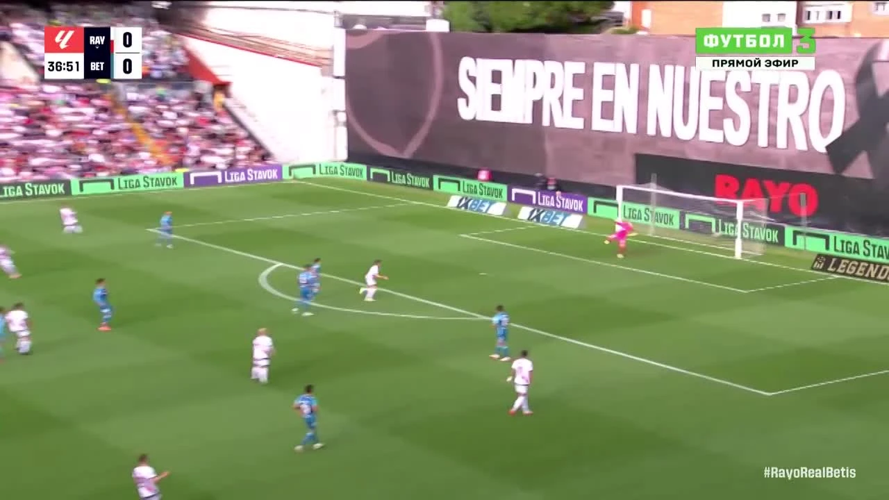 zaslepka skrotu video