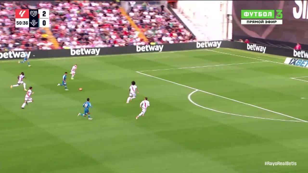 zaslepka skrotu video