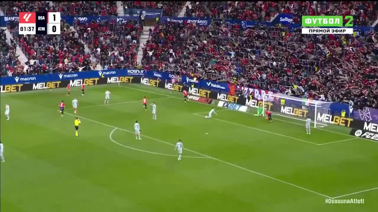 zaslepka skrotu video