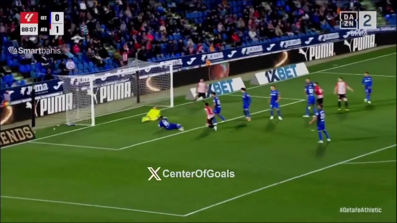 zaslepka skrotu video