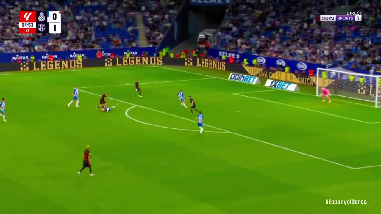 zaslepka skrotu video