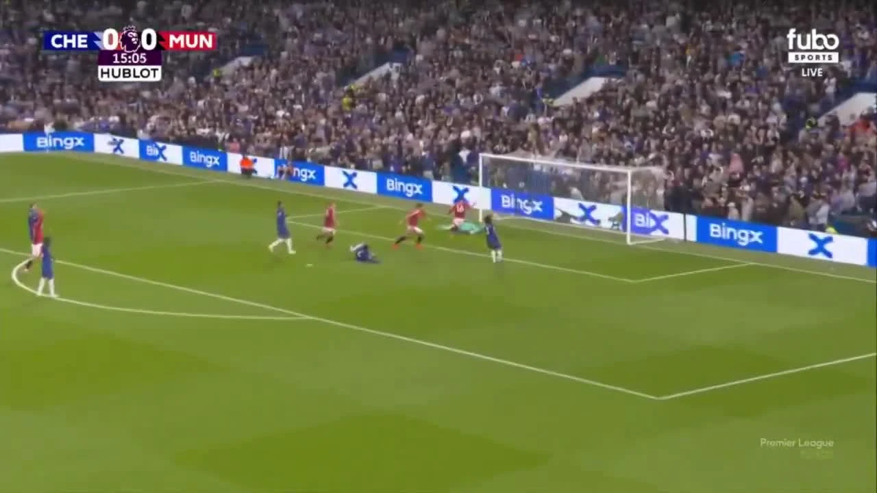 zaslepka skrotu video