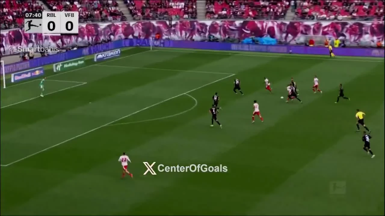 zaslepka skrotu video