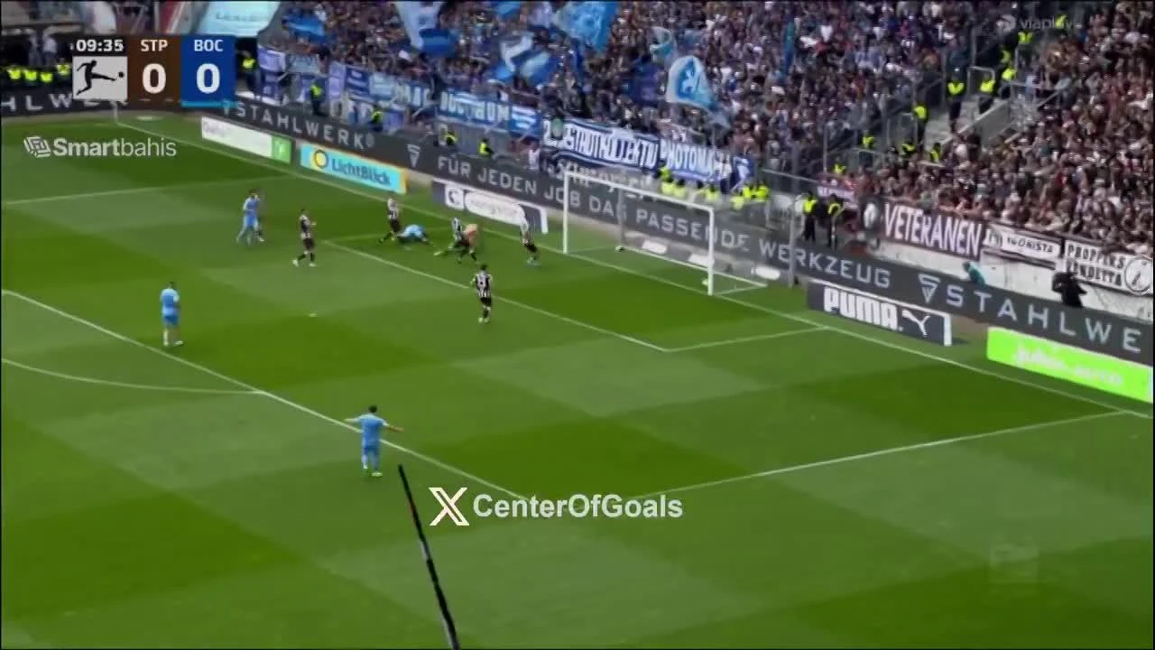 zaslepka skrotu video