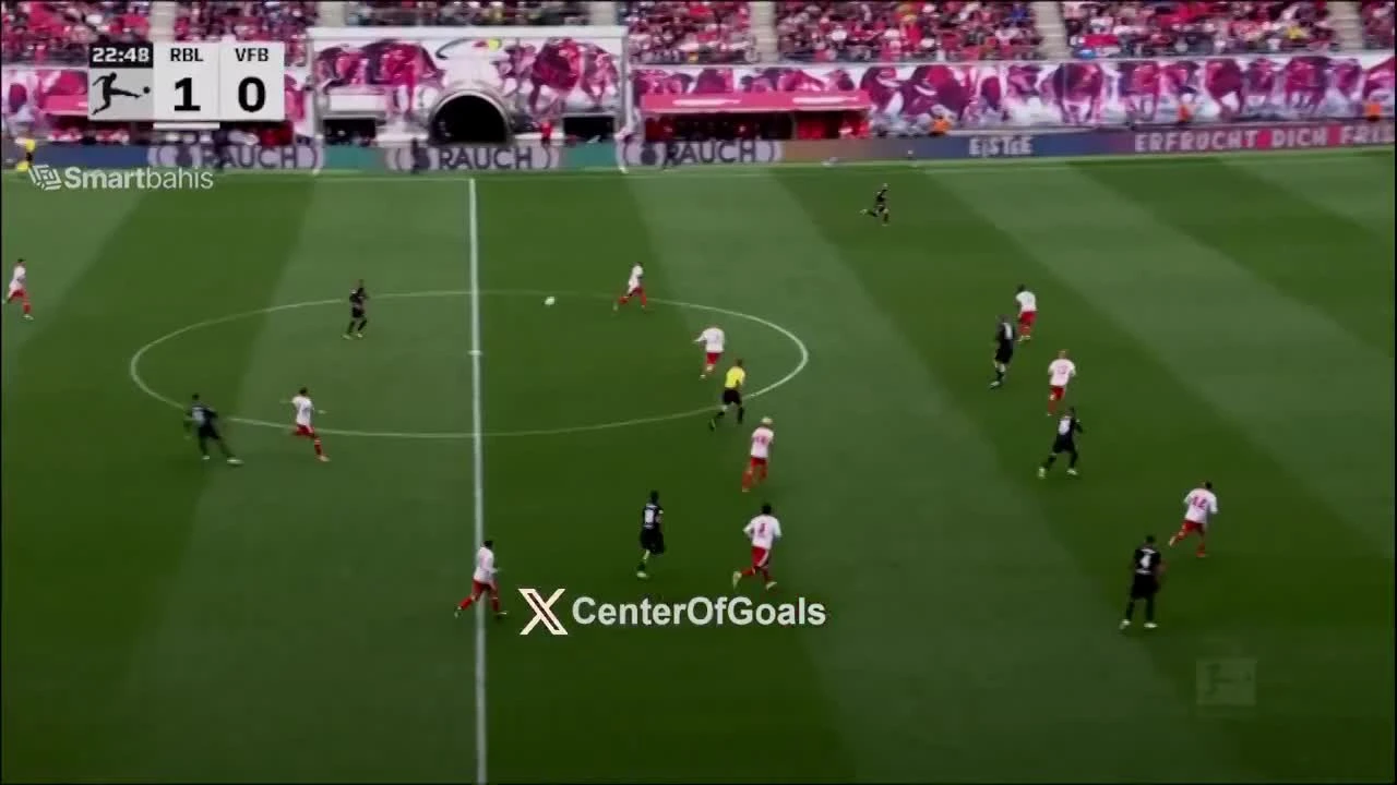 zaslepka skrotu video