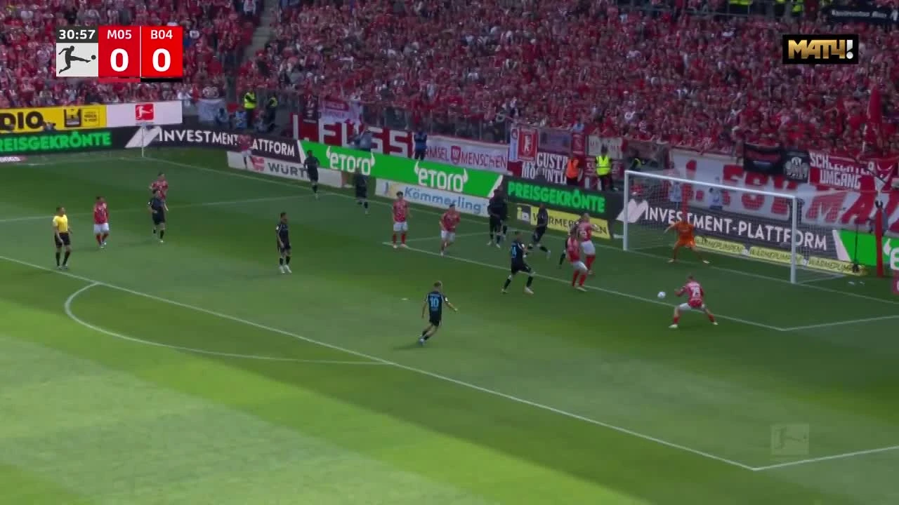 zaslepka skrotu video