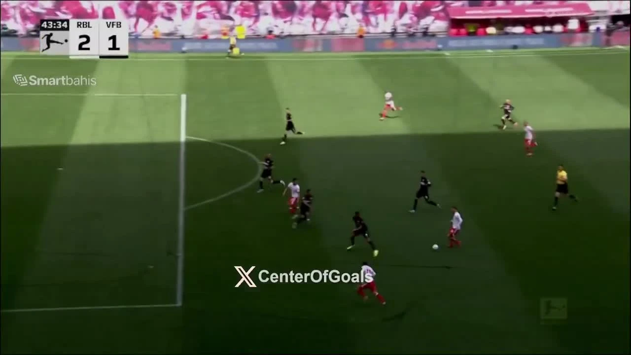zaslepka skrotu video