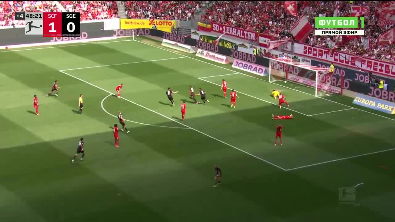 zaslepka skrotu video