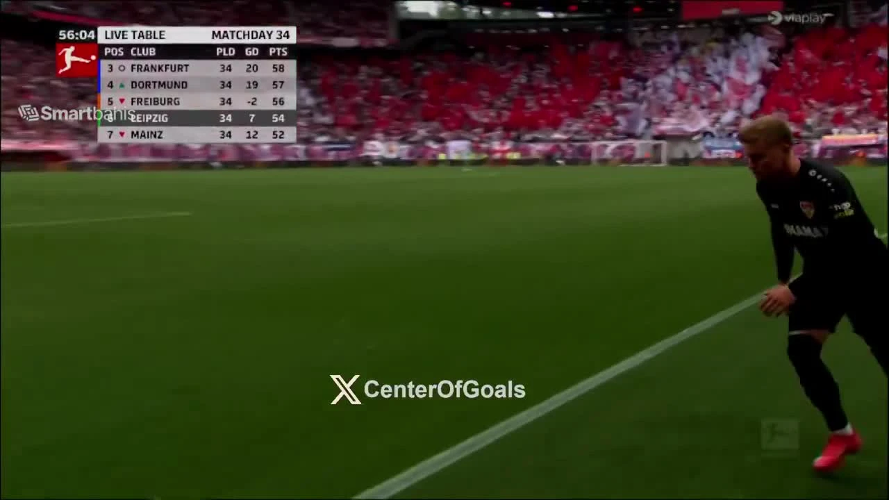 zaslepka skrotu video