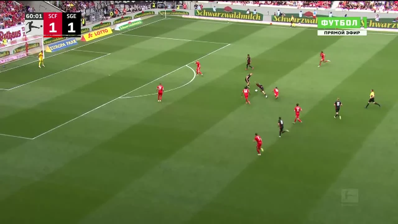 zaslepka skrotu video