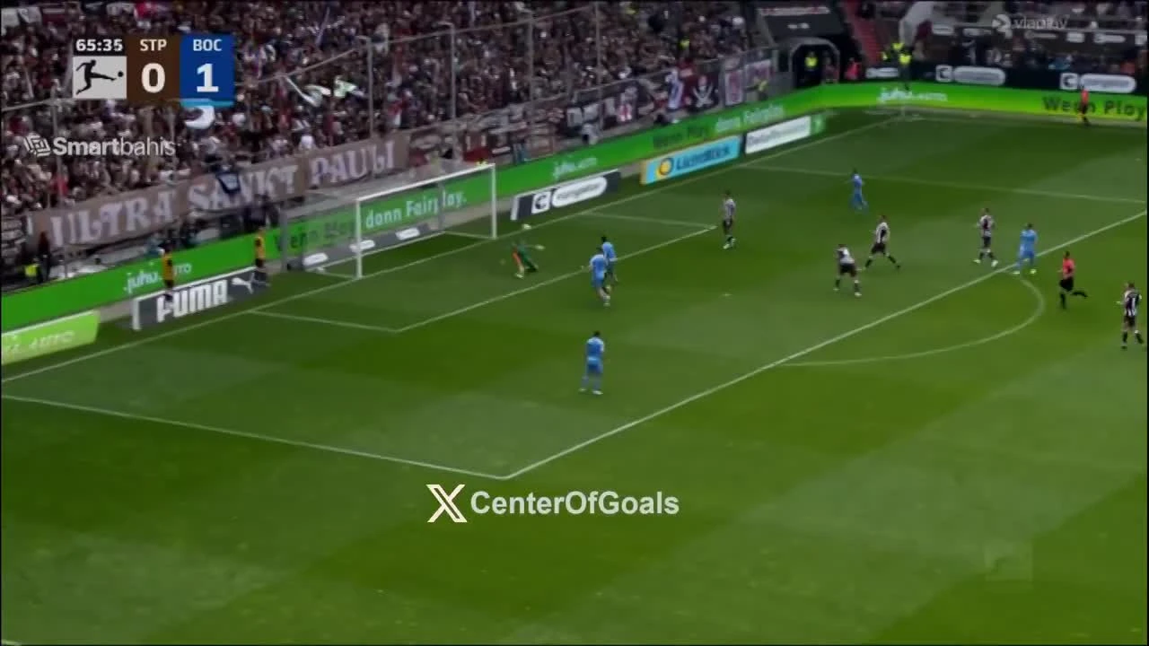 zaslepka skrotu video