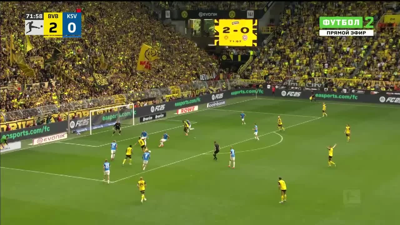 zaslepka skrotu video
