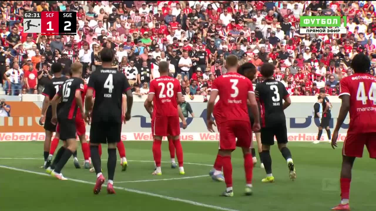 zaslepka skrotu video