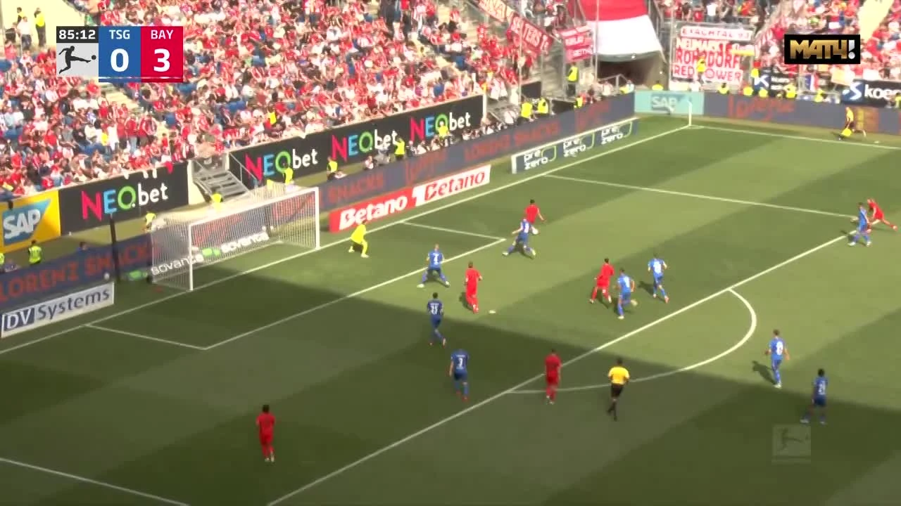 zaslepka skrotu video