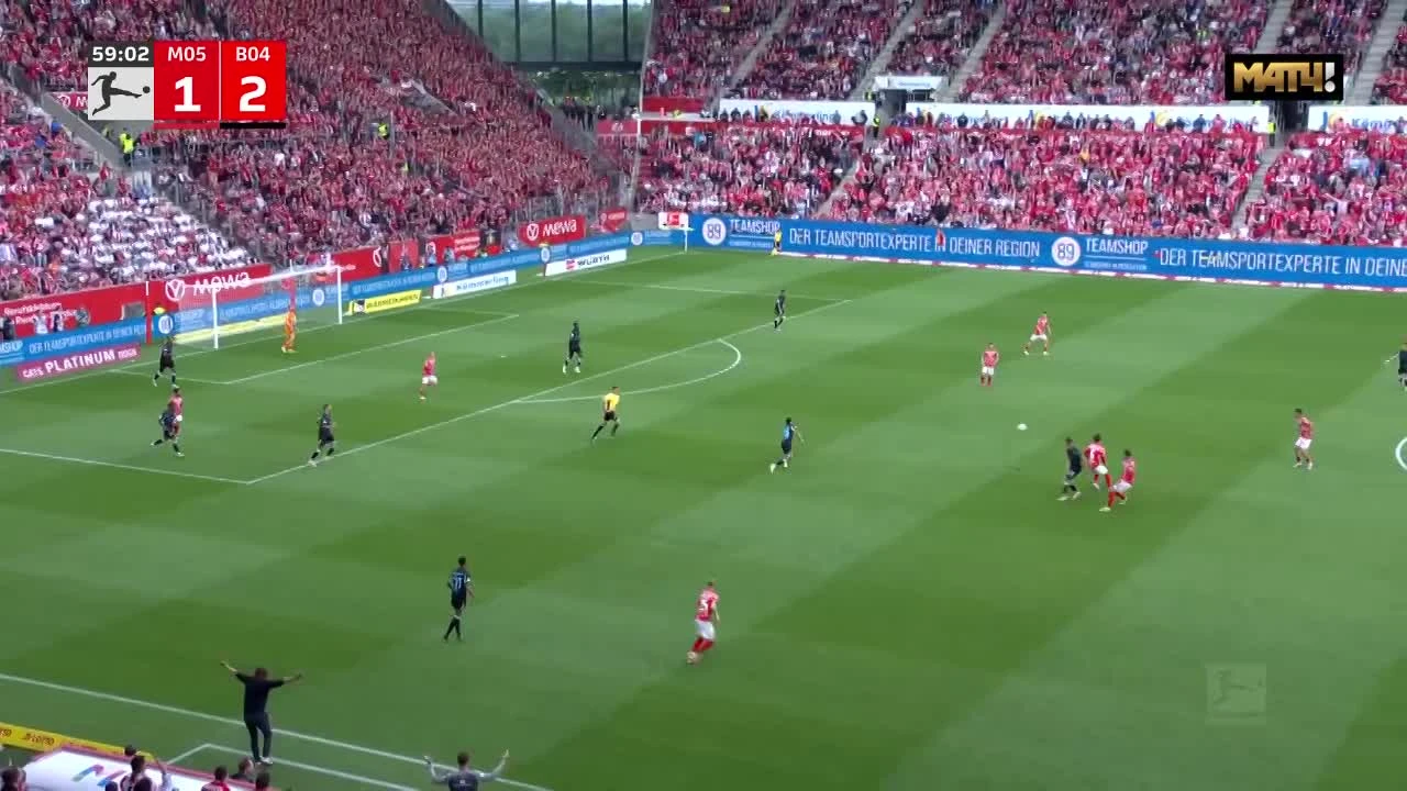 zaslepka skrotu video