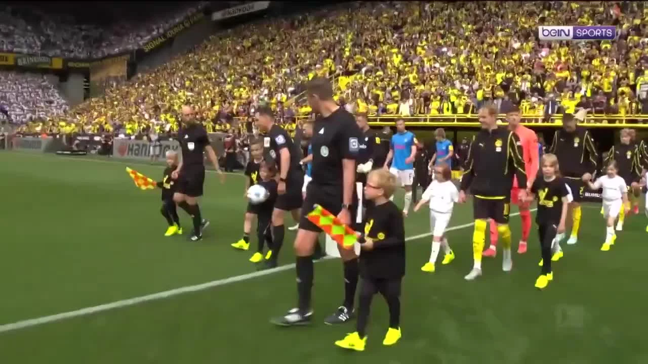 zaslepka skrotu video