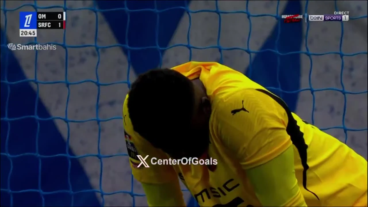 zaslepka skrotu video