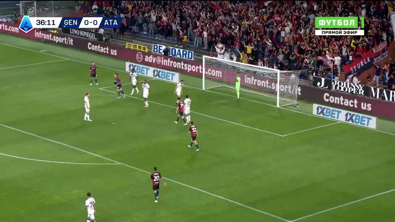 zaslepka skrotu video