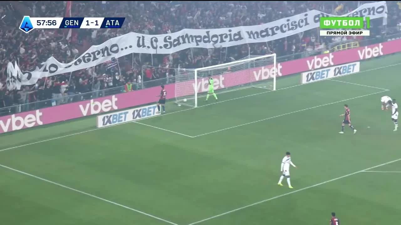 zaslepka skrotu video