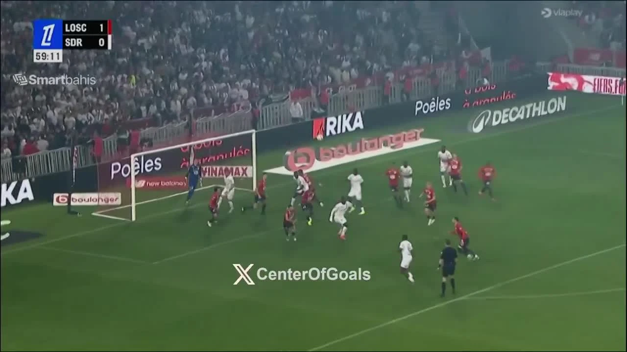 zaslepka skrotu video