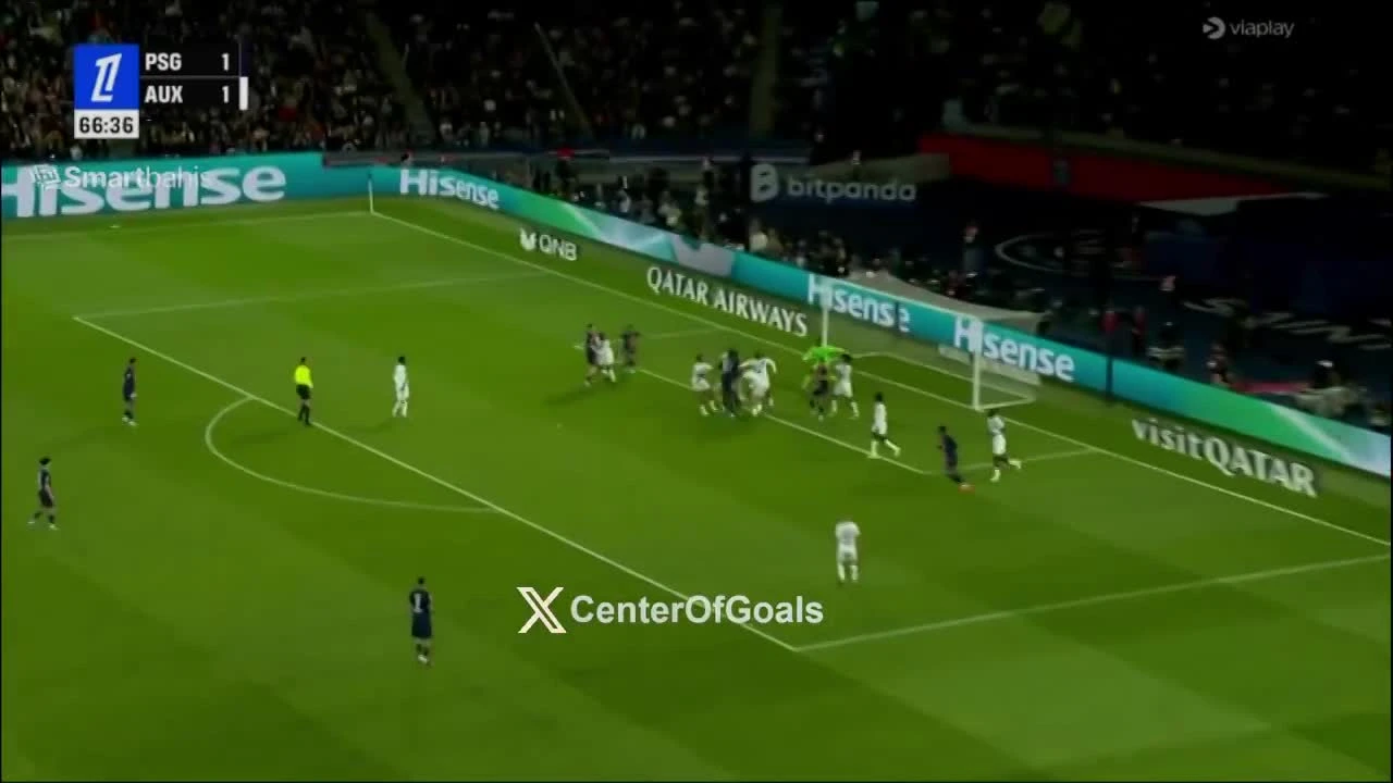 zaslepka skrotu video