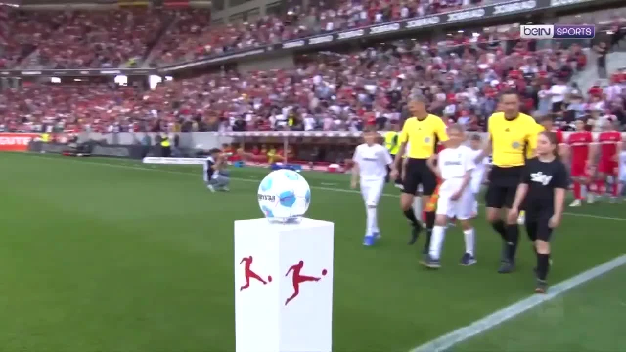 zaslepka skrotu video