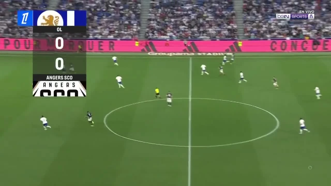 zaslepka skrotu video