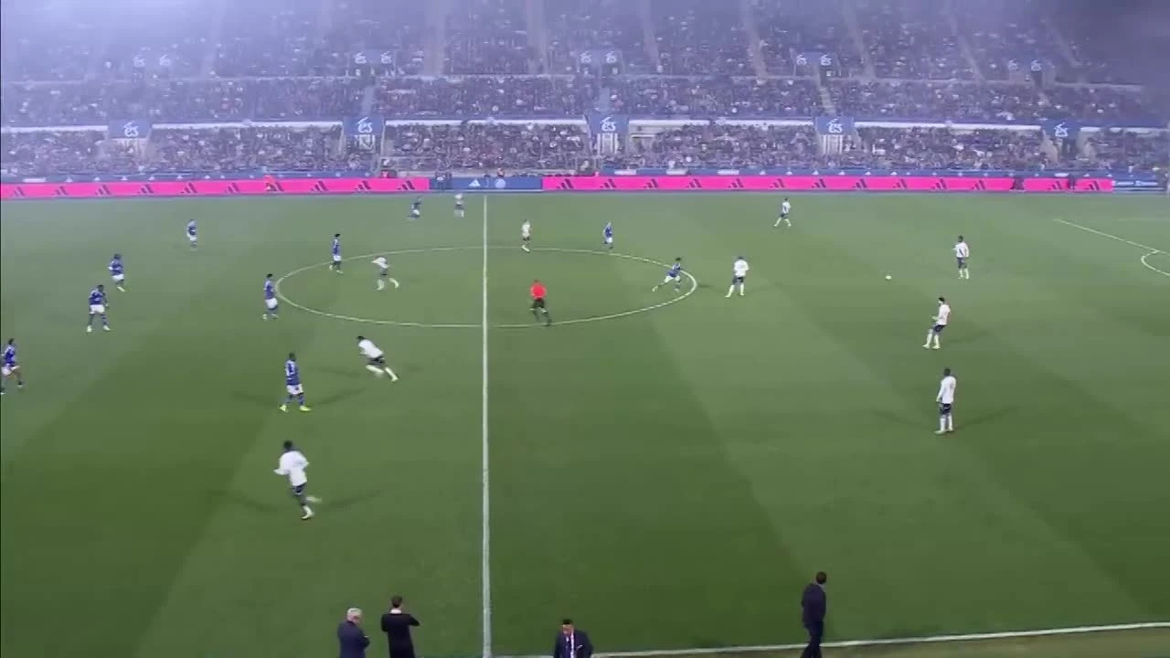 zaslepka skrotu video