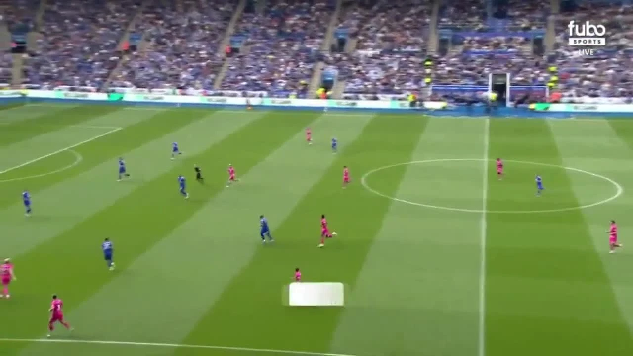 zaslepka skrotu video