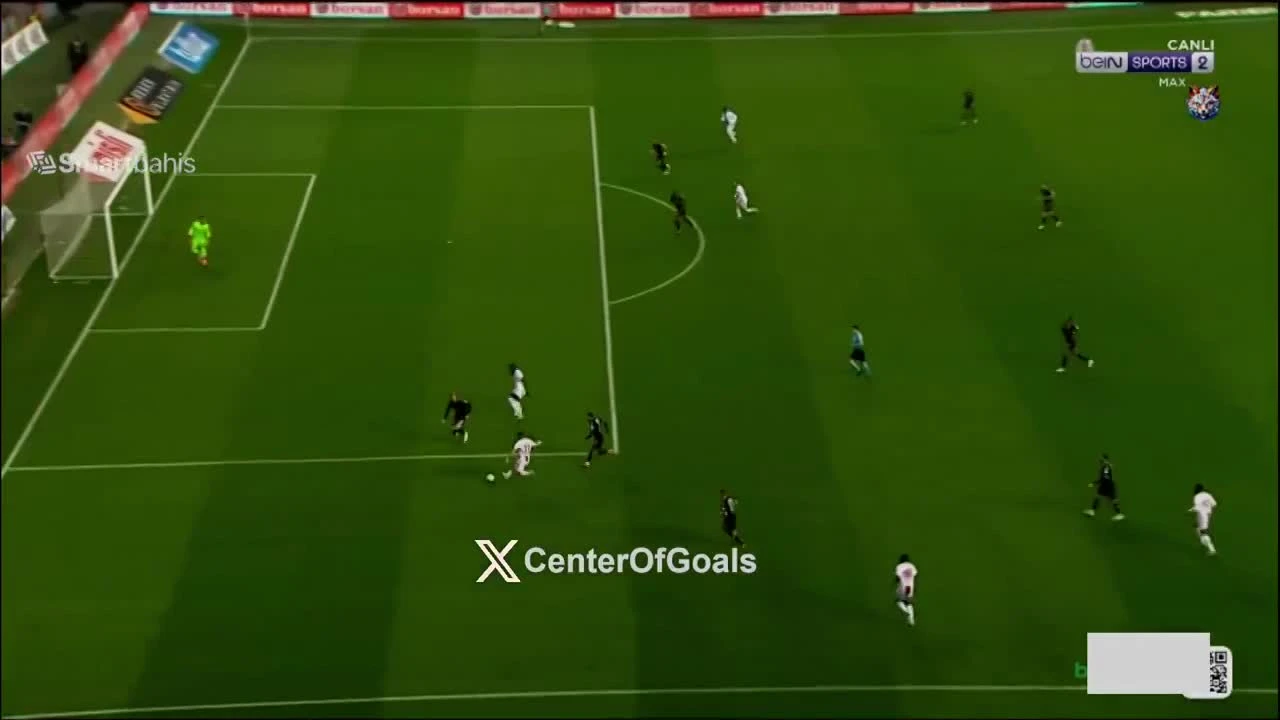 zaslepka skrotu video