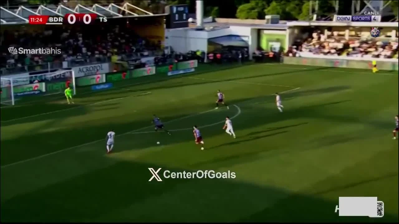 zaslepka skrotu video