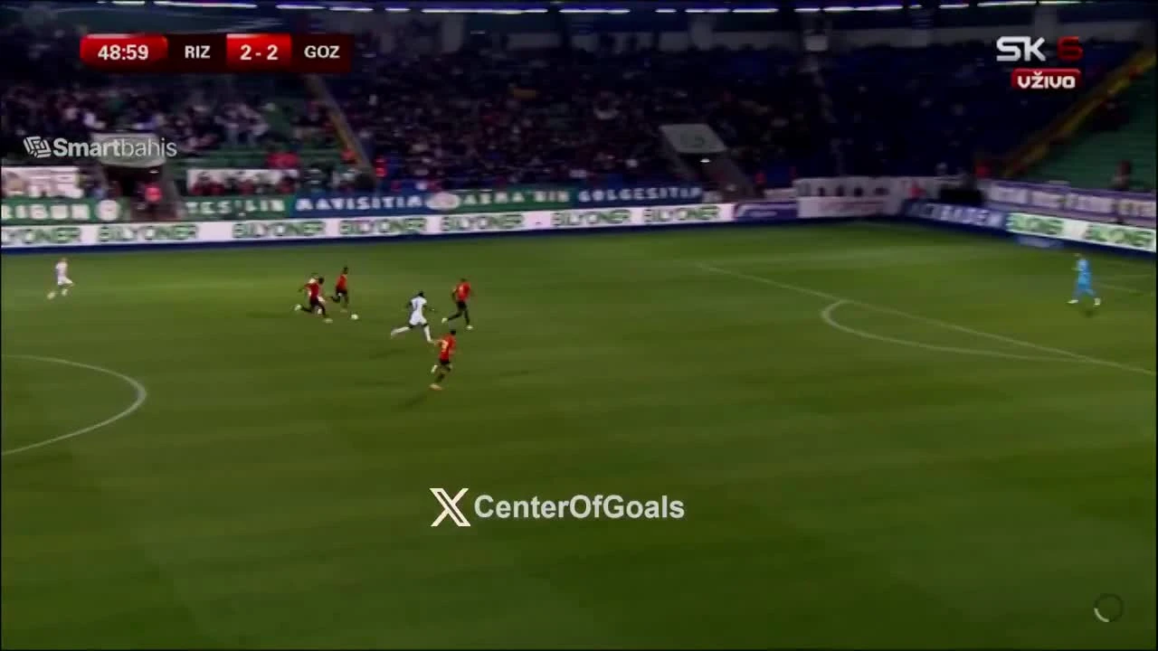 zaslepka skrotu video