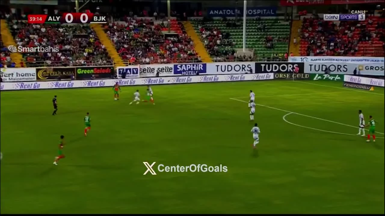 zaslepka skrotu video