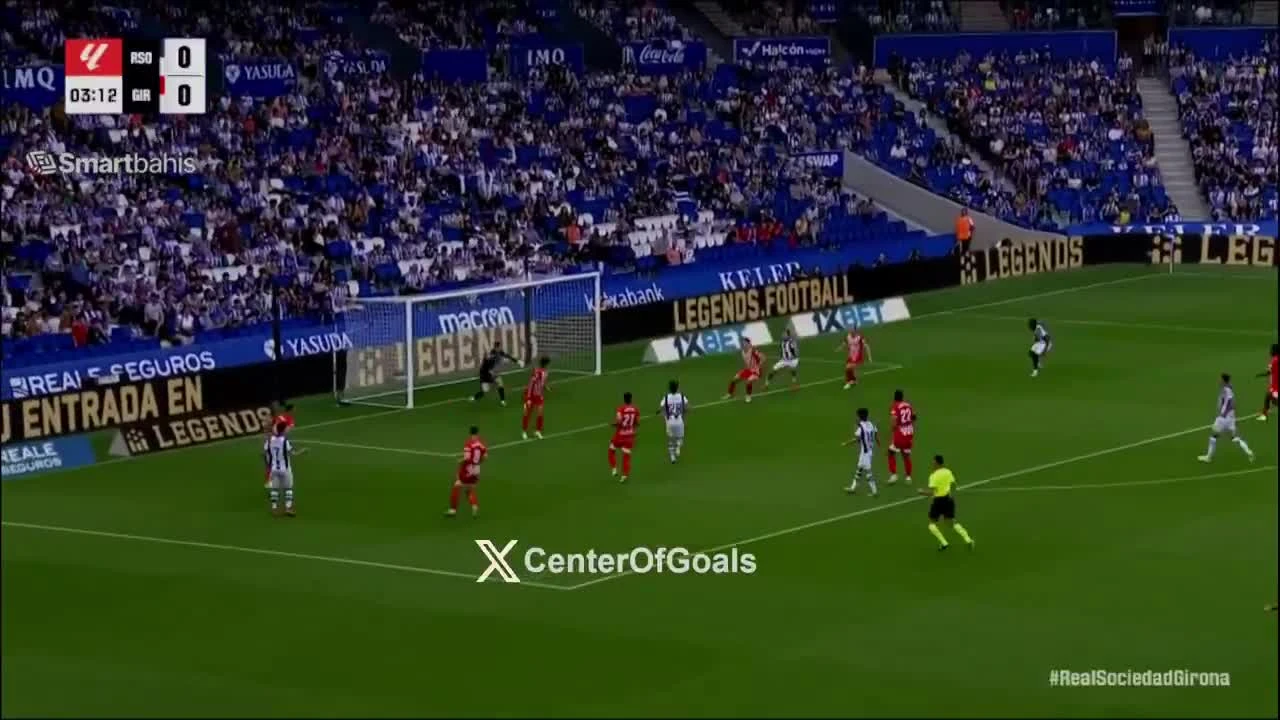 zaslepka skrotu video