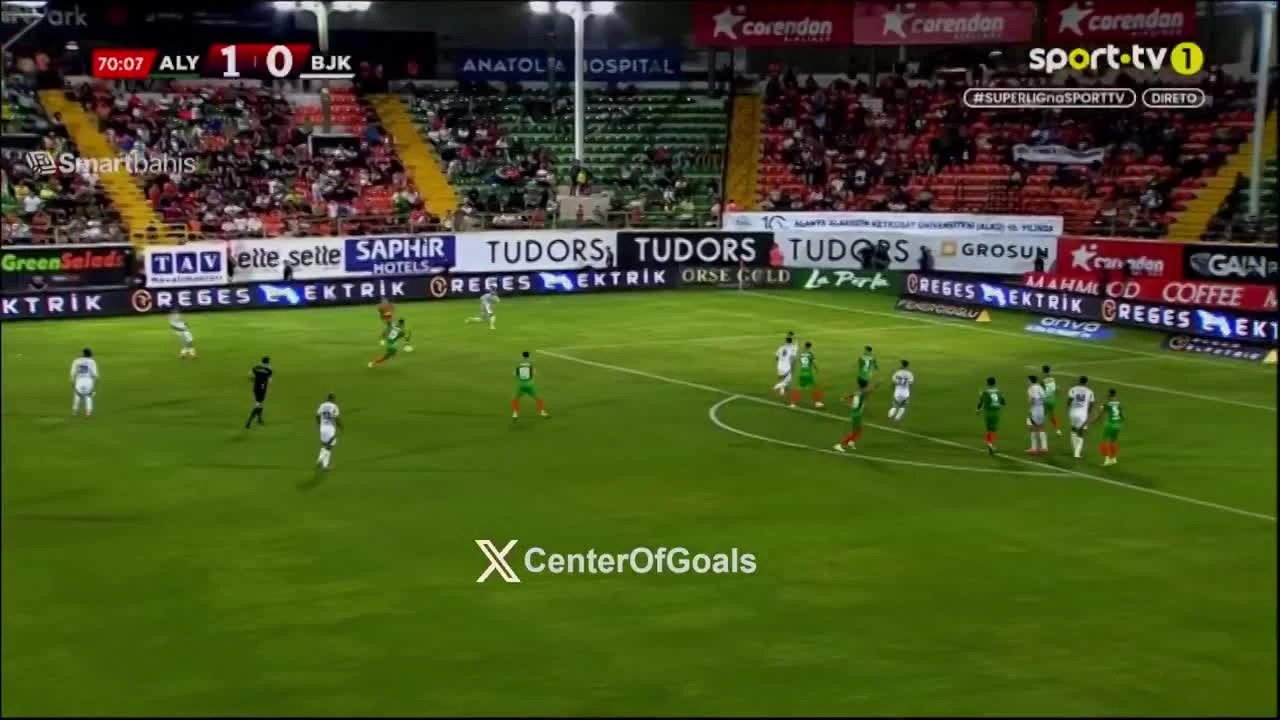 zaslepka skrotu video