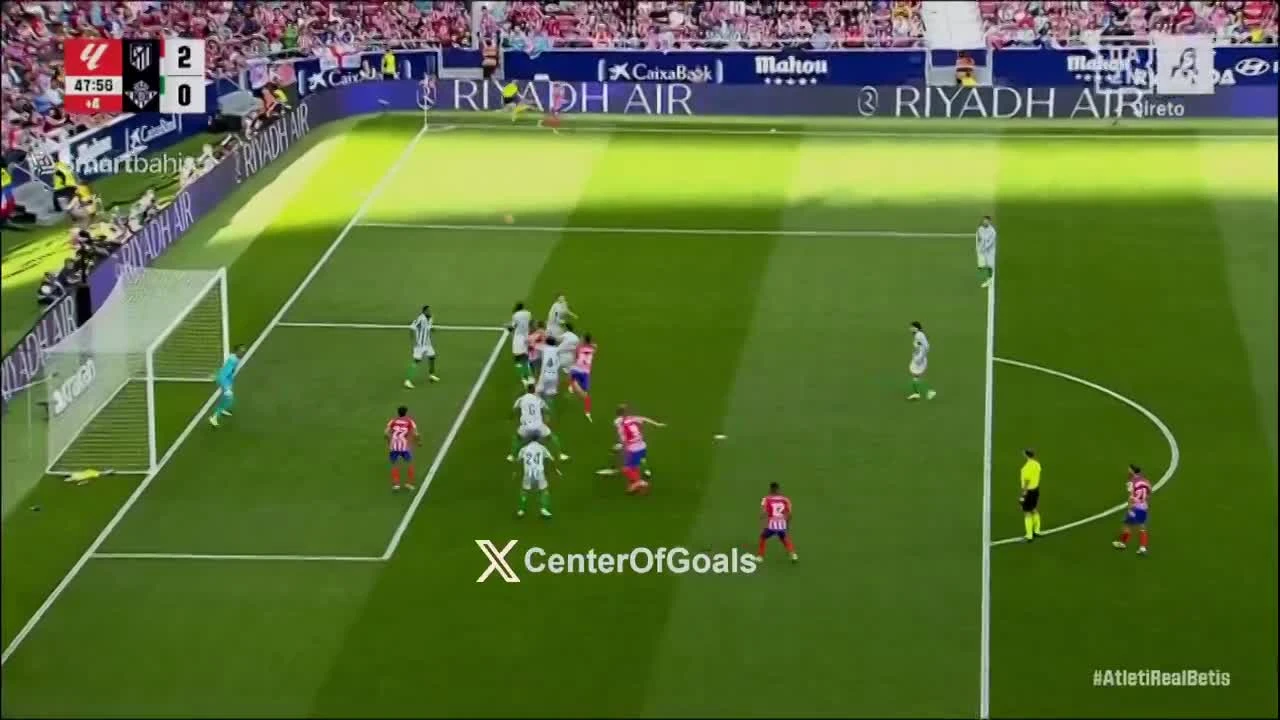 zaslepka skrotu video