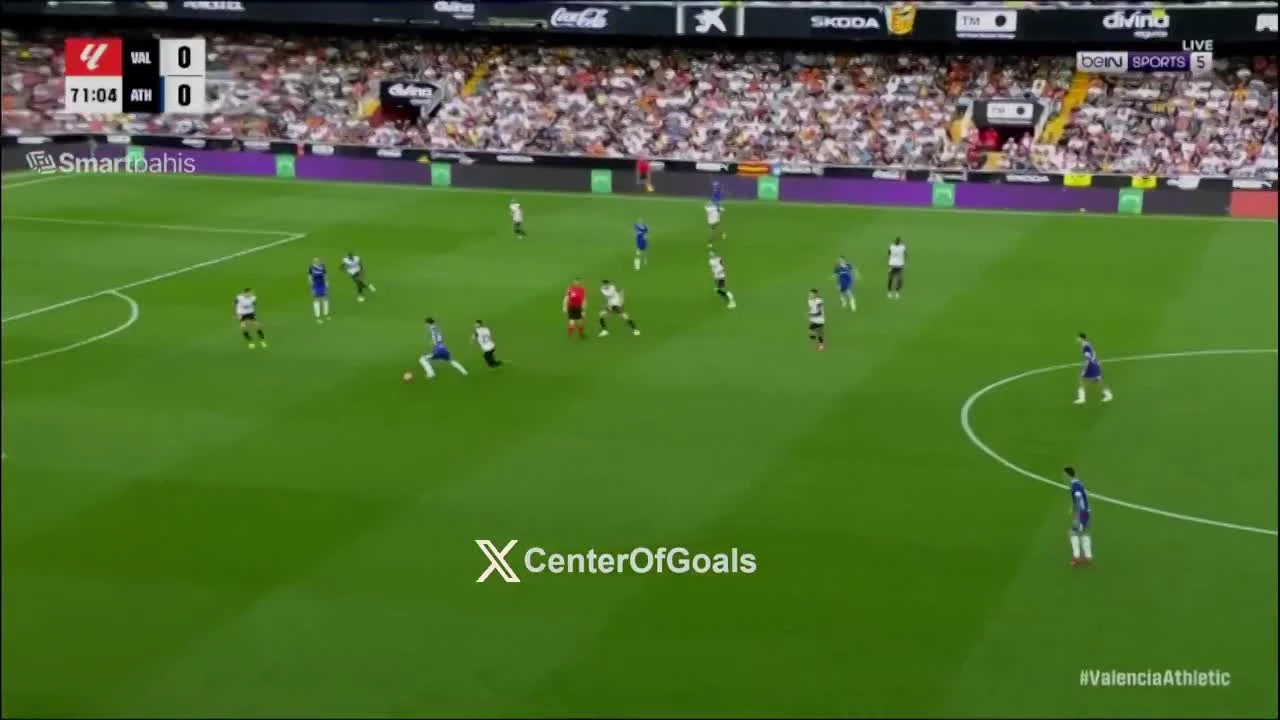 zaslepka skrotu video
