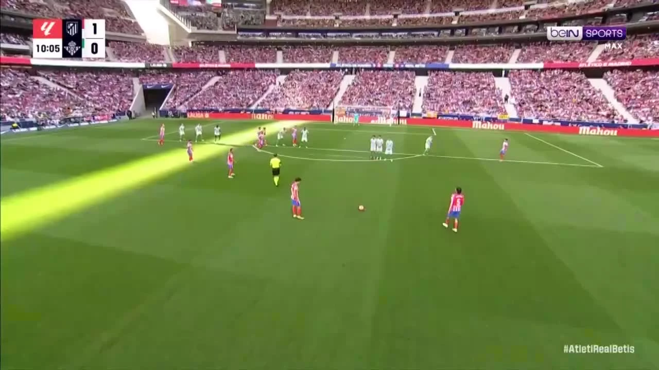 zaslepka skrotu video