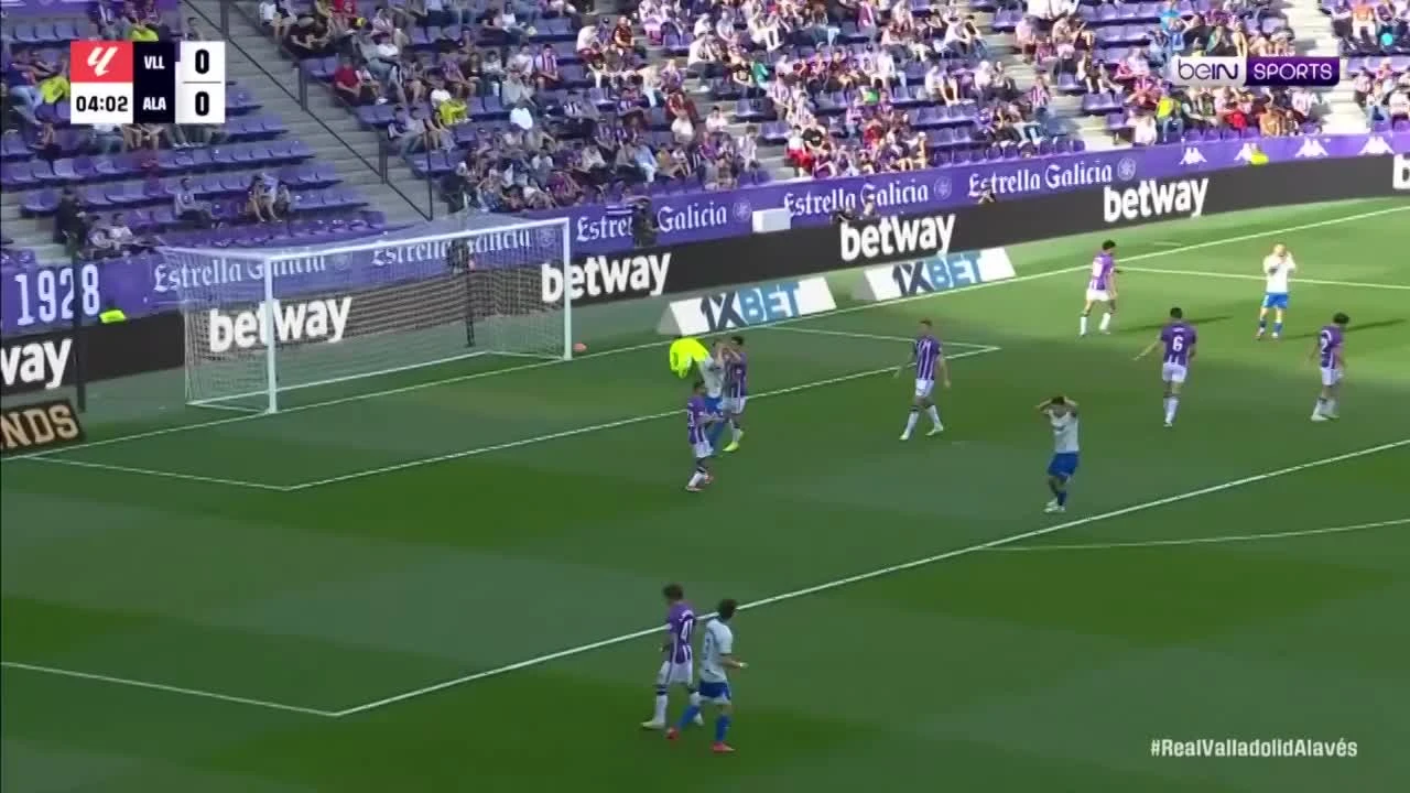 zaslepka skrotu video