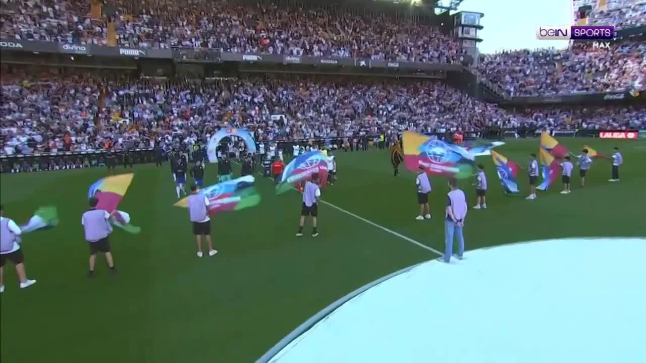 zaslepka skrotu video