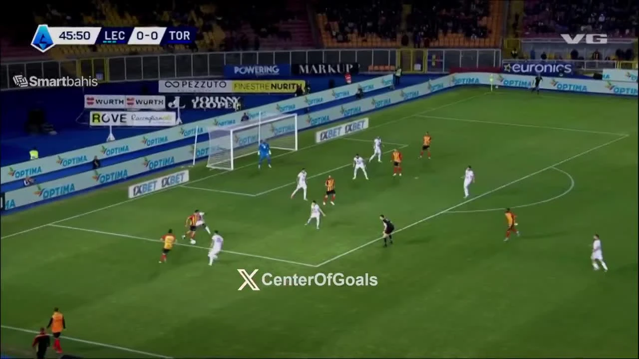 zaslepka skrotu video