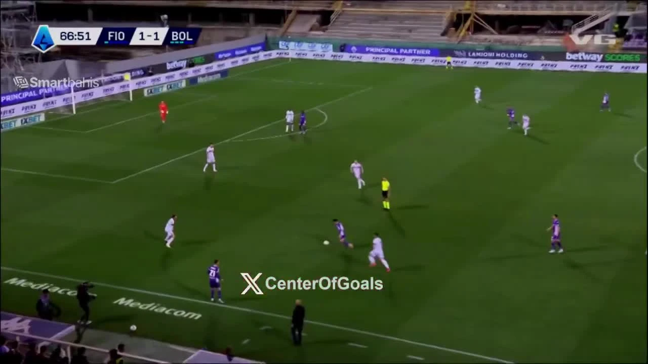 zaslepka skrotu video